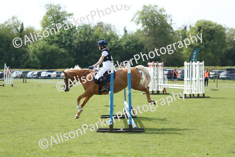 20260426-1608 - Class 14 - Novice 60cm