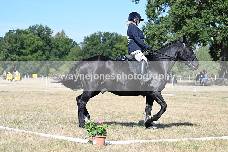 WJ7_9931 - Time 11:03 to 11:28