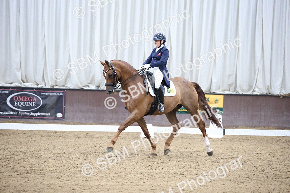 SBM_004736 - Class 9 - FEI Inter 1 Gold - 16.59-17.47