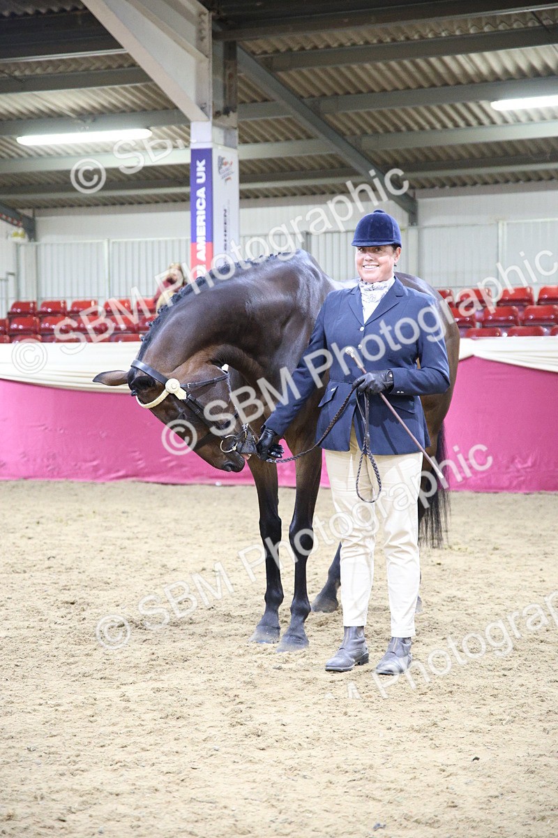 SBM_18836 - Class E IH Horse Champ