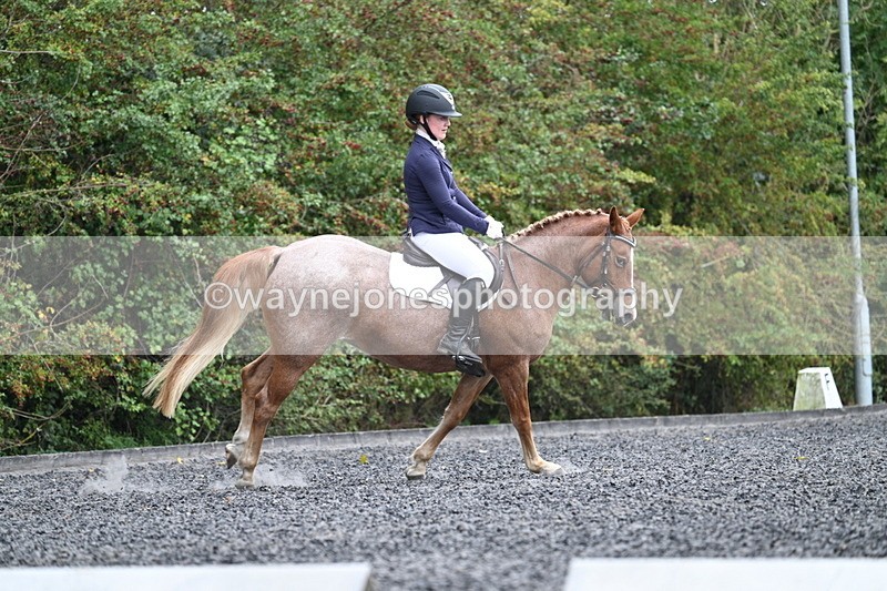 WJ7_3747 - Time 11:04 to 11:38