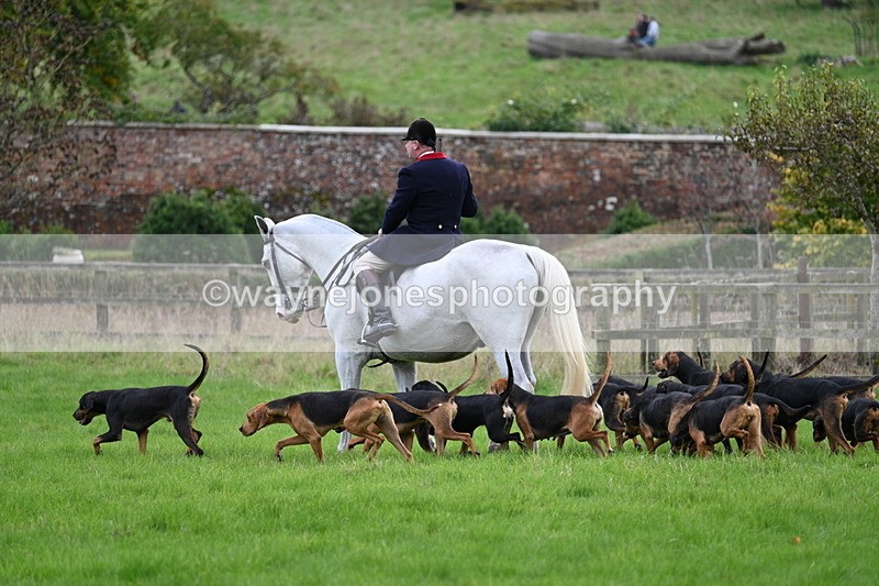 WJ7_4788 - Camera 1 Line 3