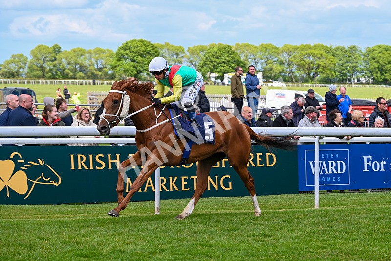 120526-Race 1-Lovers Leap-7179 - Race 1 2.30pm Clearanswer Call Centres Maiden Fillies' Stakes