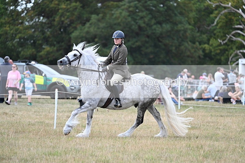 WJ7_5042 - Class 12 Ridden Cob