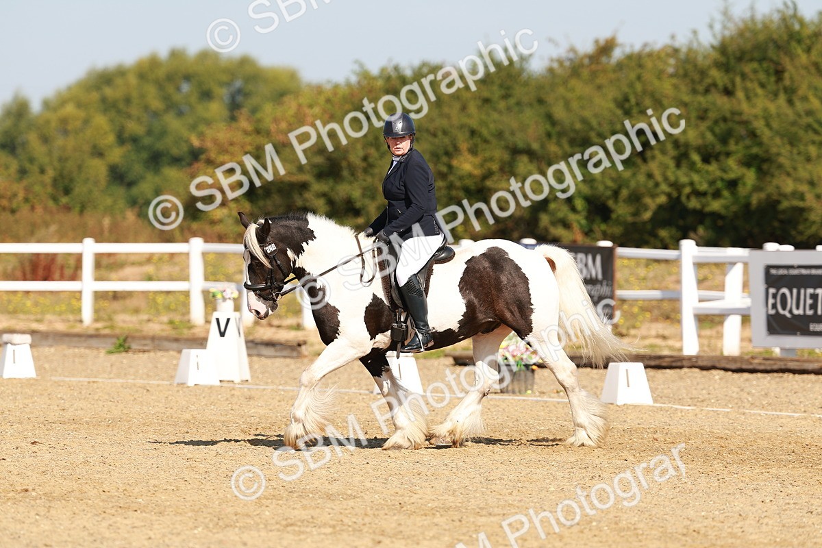 SBM_016736 - Class 9 - N5 Bronze 9.30.10.19