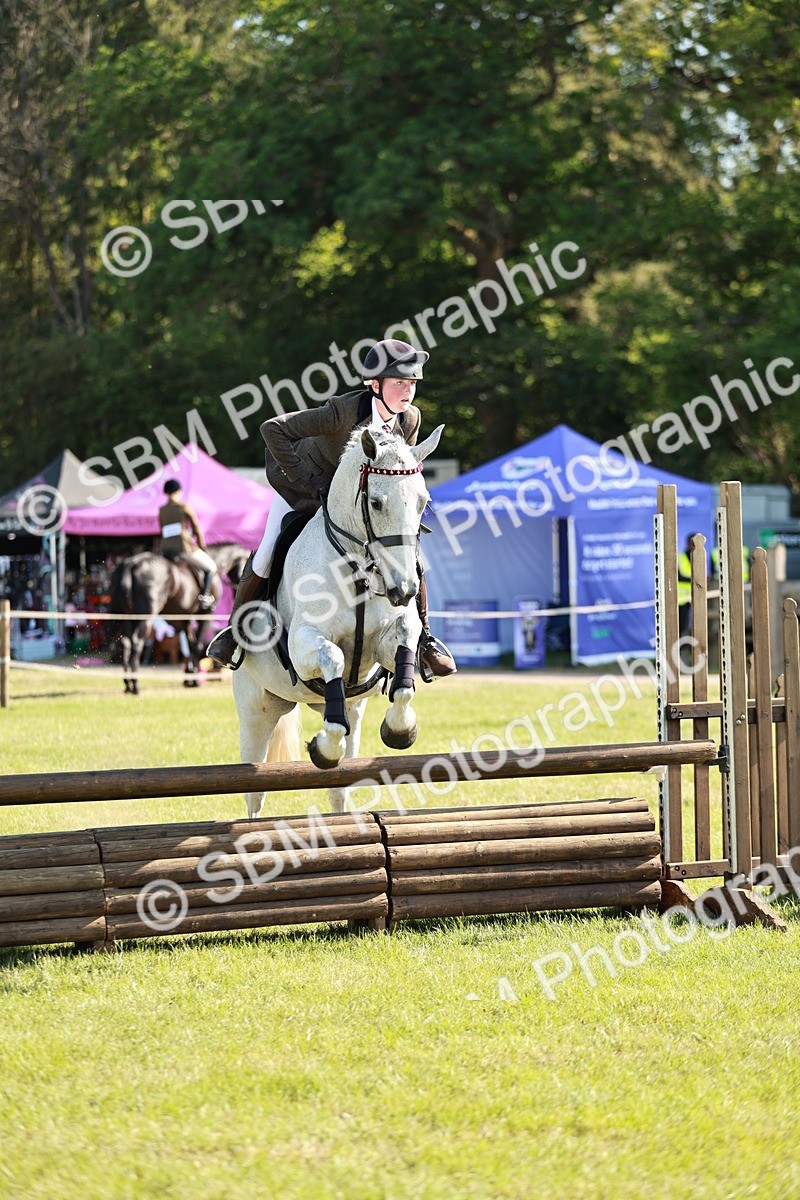 SBM_19179 - Class 115-116 - LIHS BSHA Rising Star Working Hunter & Show Horse