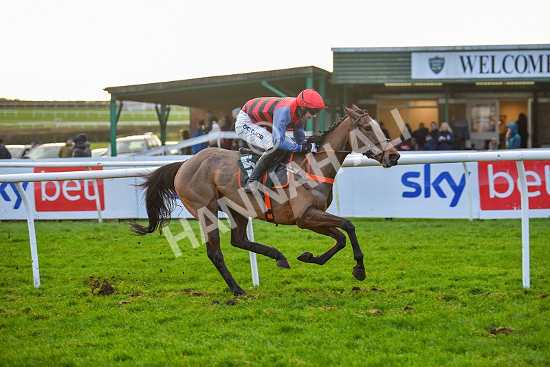 281223-Race 4-Lavida Adiva-2-13 - Race 4