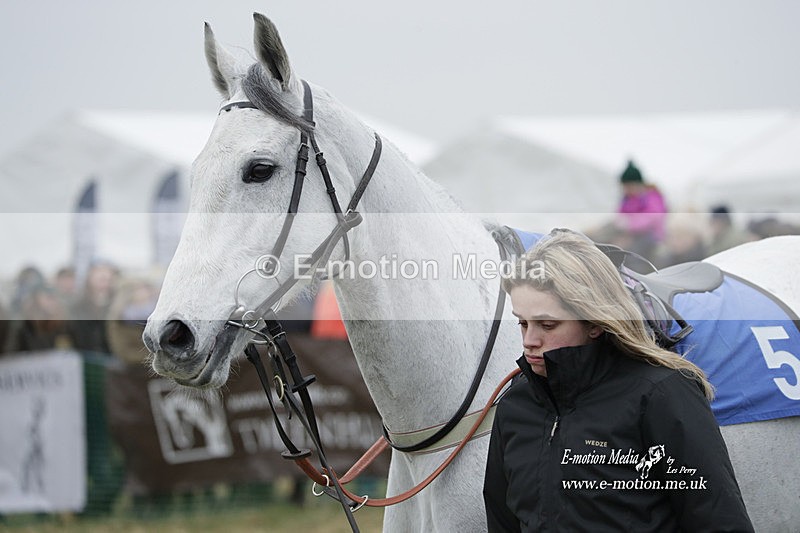 PtP 040323 514 - Duke of Beauforts Hunt Point-to-Point Didmarton 04/03/23