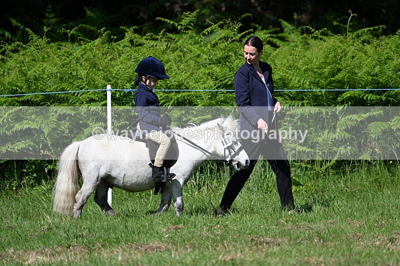 WJ7_0670 - Class 8 First Rally Pony