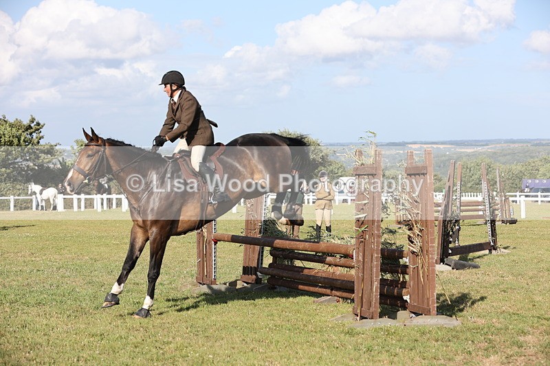 JPP_3087 - Class 21: Working Hunter 80cm