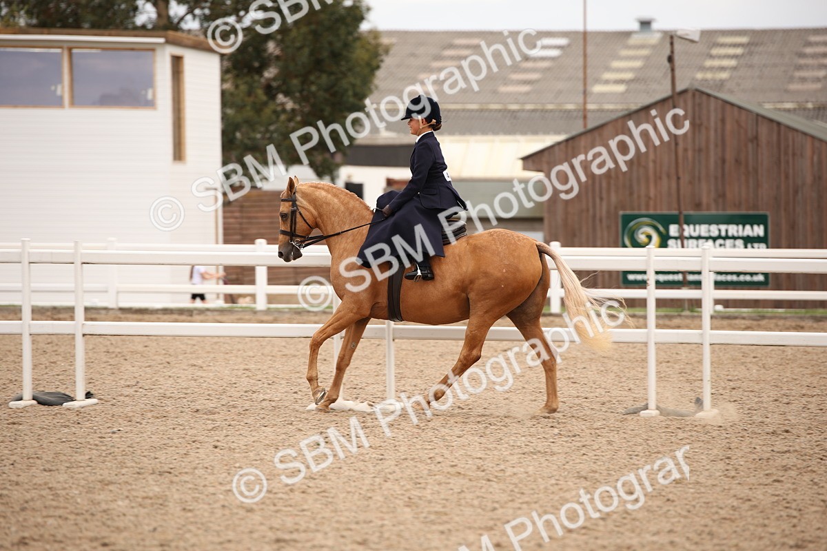 SBM_05436 - Class 22 SSA Equitation