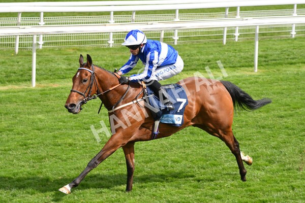yr13052021r5-19 - Race 5 3.40pm British Stallion Studs EBF Westow Stakes
