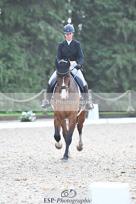 231019-110343-02035 - 105-BRIGHT.KNIGHT.III-Janet.Clarke-DR