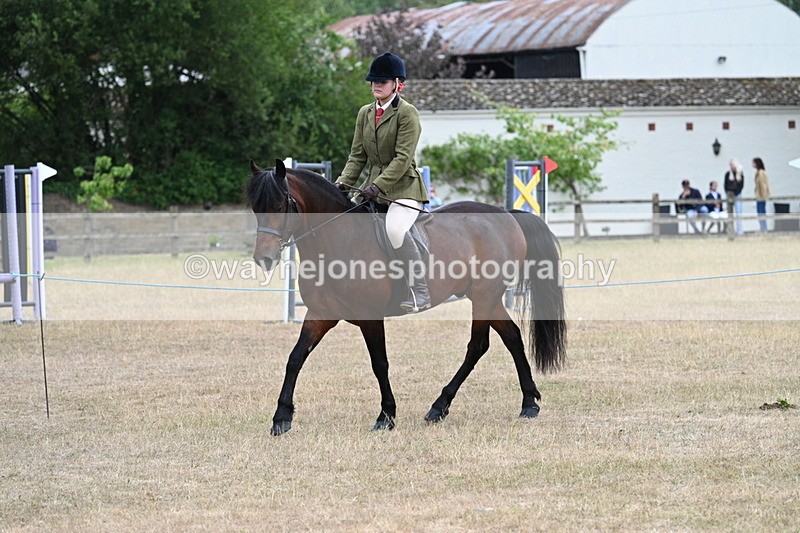 WJ7_0304 - Class 6 Ridden Mountain and Moorland