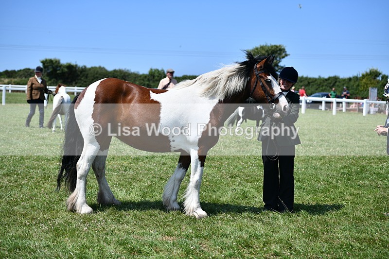 DSC_7644 - Class 64: Coloured Pony 4yrs & over