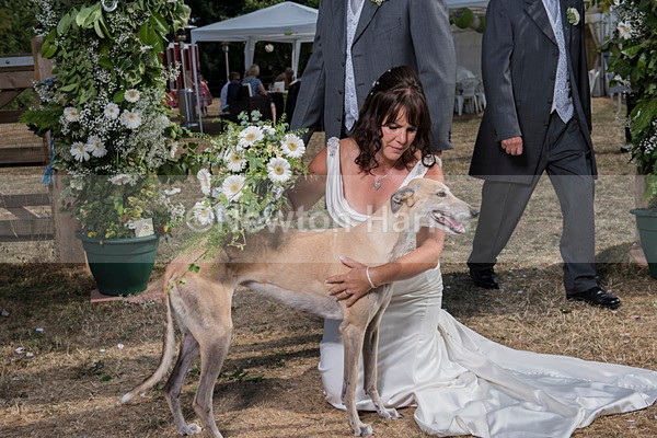 NMH-737 - Sonja and Steve's Wedding 21/7/2018