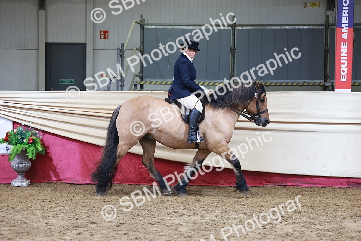 SBM_18570 - Class 952 - M&M Ridden Supreme Final