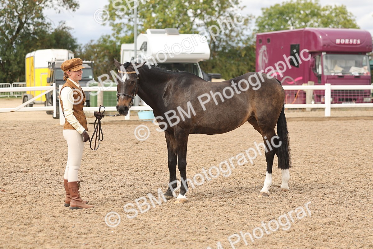 SBM_05034 - Class 20 - IH Veteran