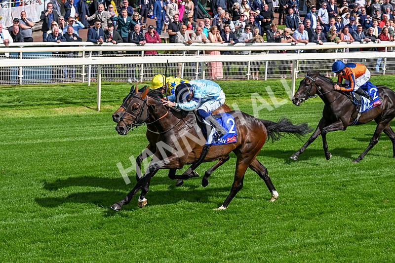 120626-Race 5-Antipodes-0303 - Race 5 16.10pm Sky Bet The World's Gone Football Handicap