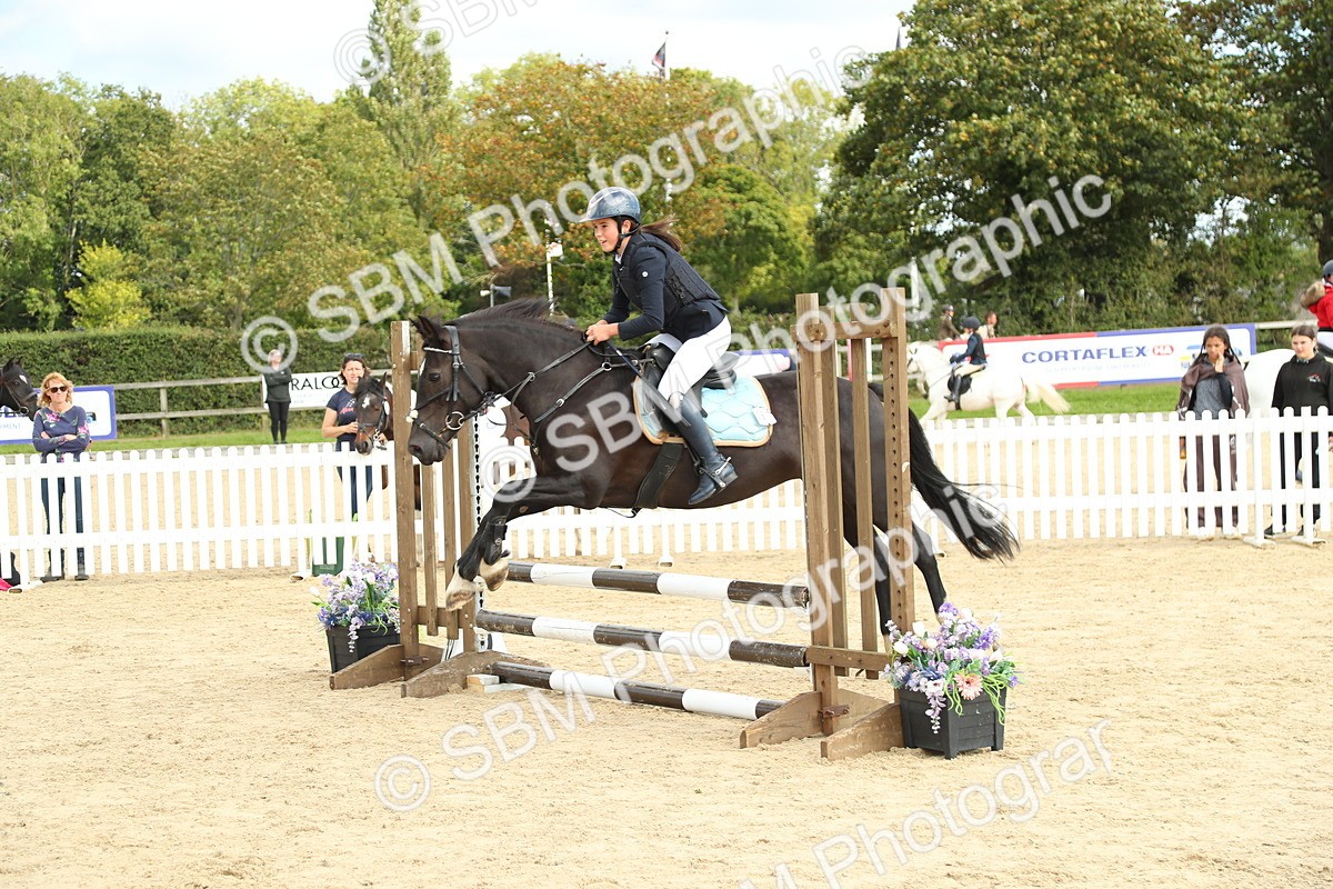 SBM_46554 - J7 - Junior Pony 60cm Championship