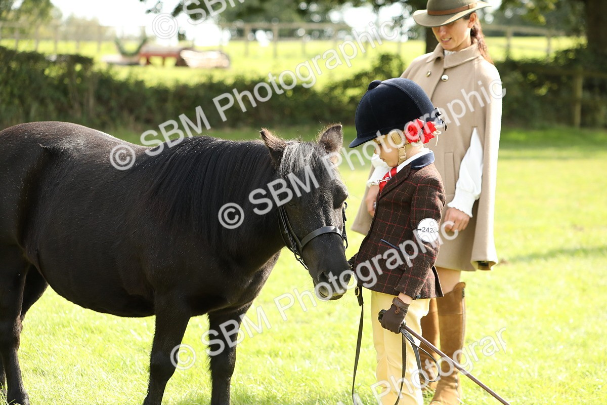 SBM_67761 - S39 - Junior Handler 8  Years & Under