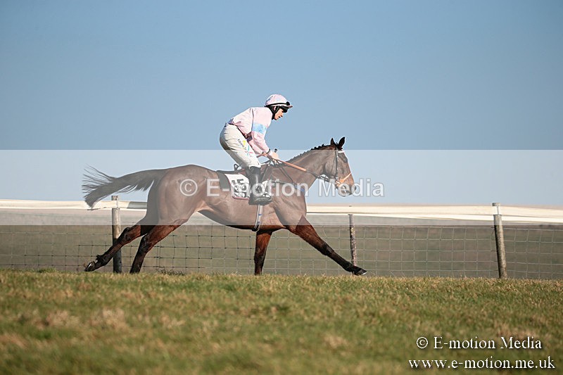 PtP 230219 412 - Vine & Craven Point-To-Point - Barbury 23/02/19