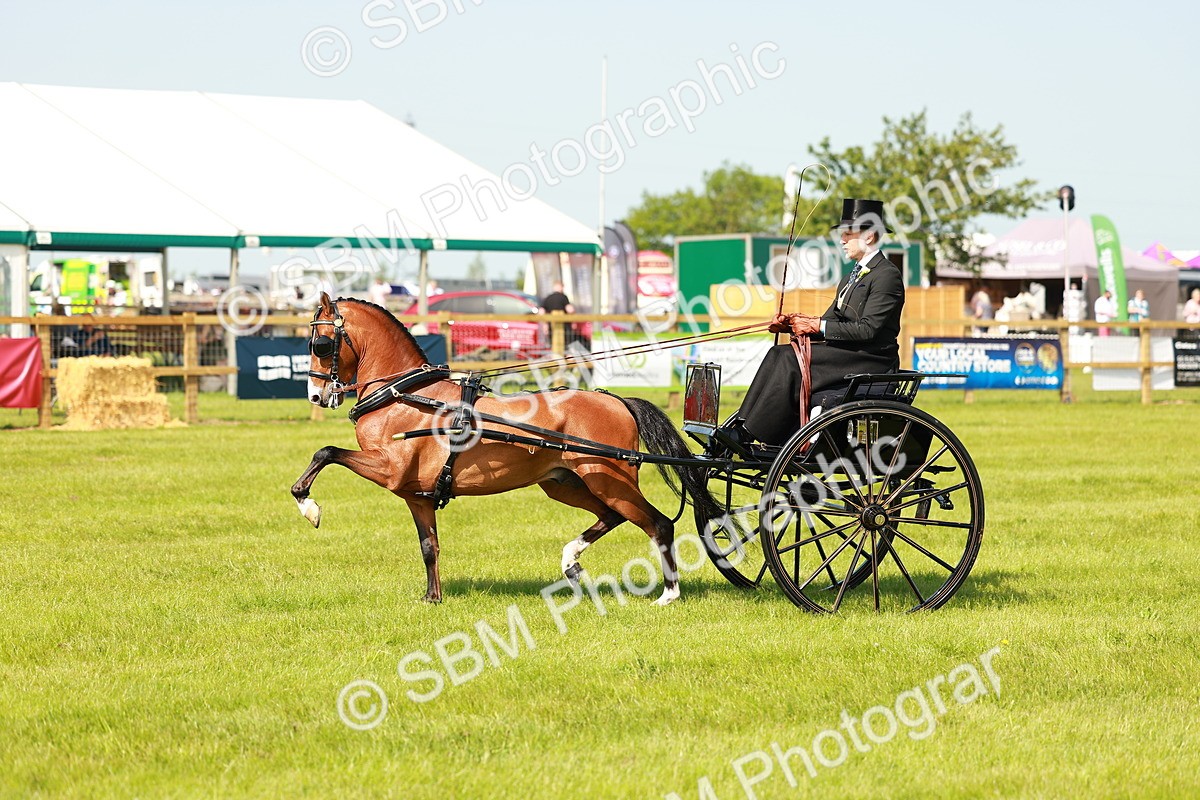 SBM_02682 - Class 2-4 - HOYS Private Driving