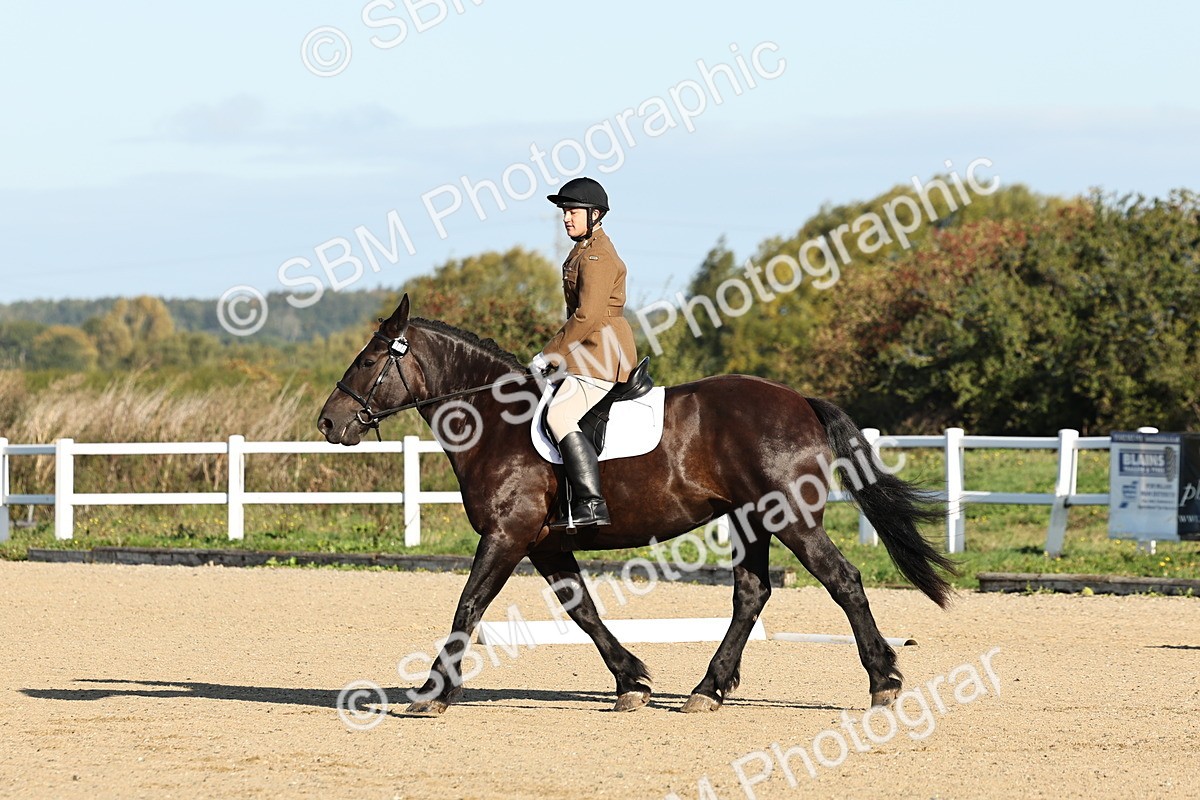 SBM_003087 - Class 66 - Intro 3