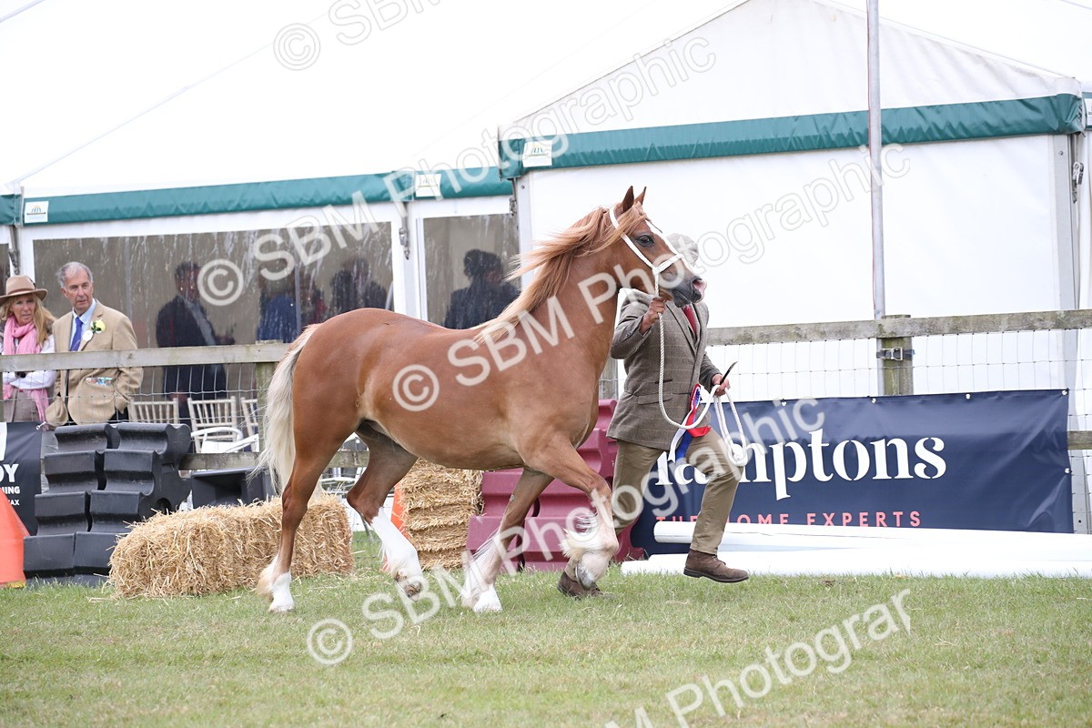 SBM_09747 - Ch 50 - Price Family Supreme In Hand