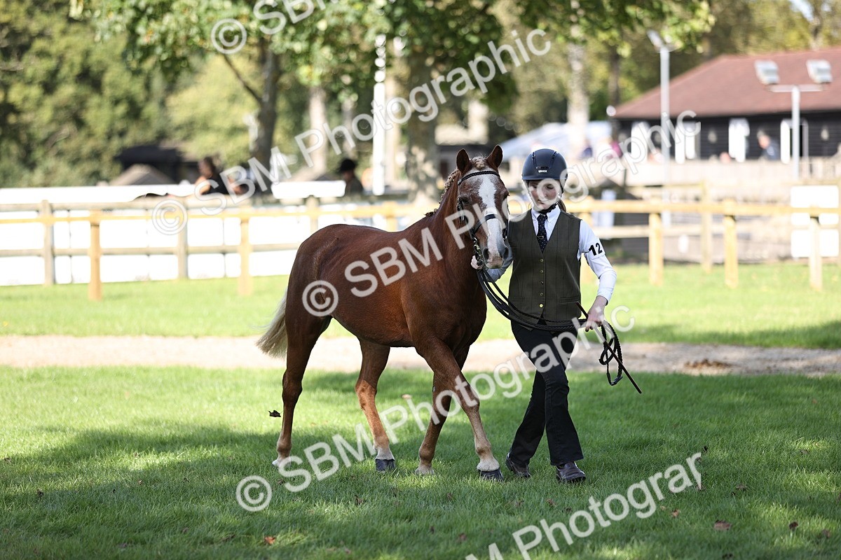 SBM_26217 - S5 - Novice & Newcomers In Hand