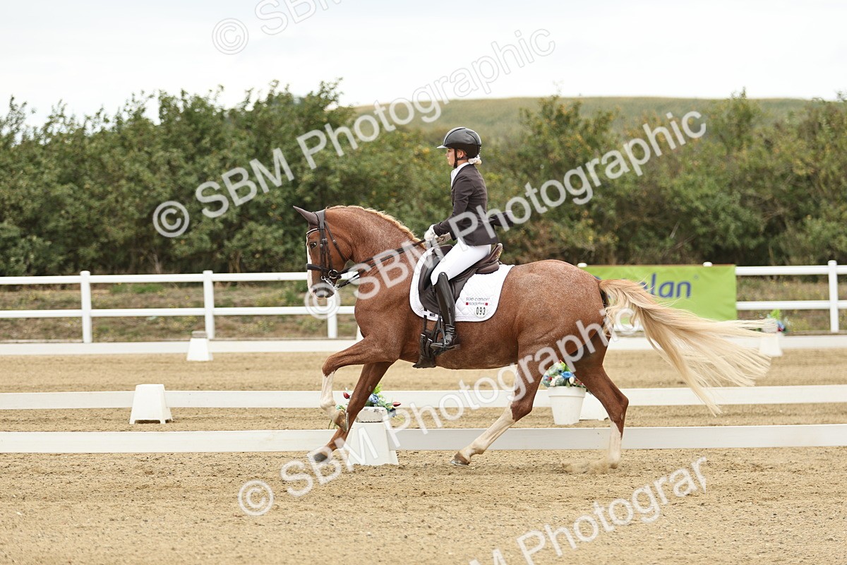 SBM_006550 - Class 21 - Medium 5 Bronze - 9.08-9.48