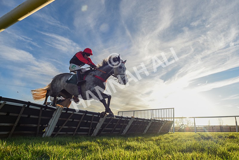 161225-Race 5-Somebodycomegether-7743 - Race 5