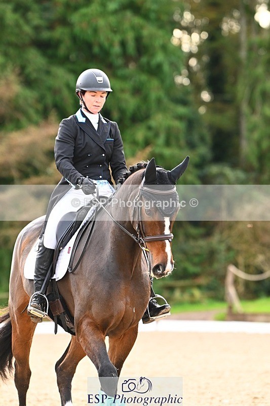 231021-134601-17709 - 350-DAZZLING.SPRINGTIME-Alice.Kneen-DR