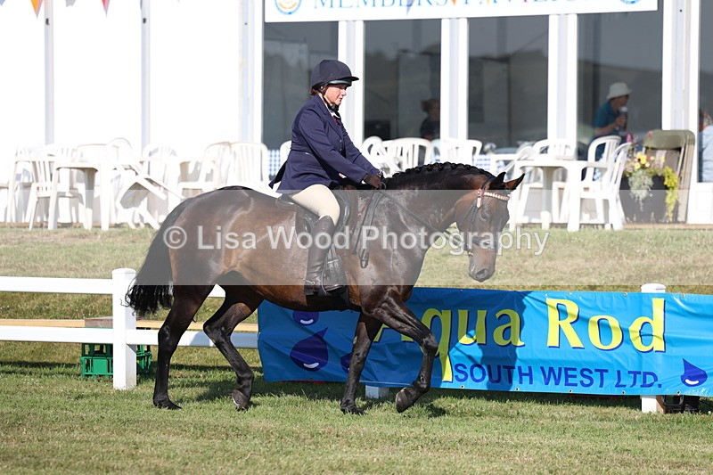 3E7A5475 - Class 2: Rising Star Large Hack/Riding Horse