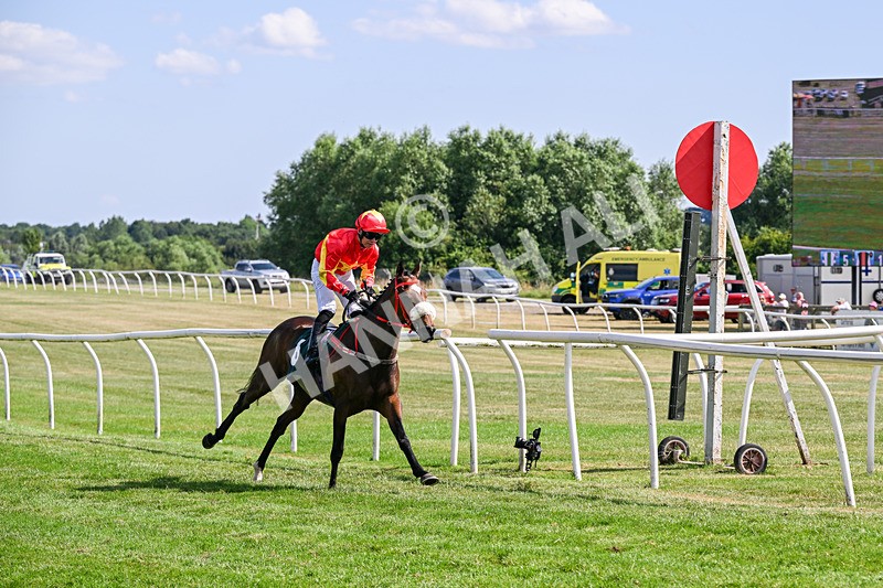 080726-Race 5-Sugarpiehoneybunch-7569 - Race 5 16.00pm Bet At racingtv.com Handicap