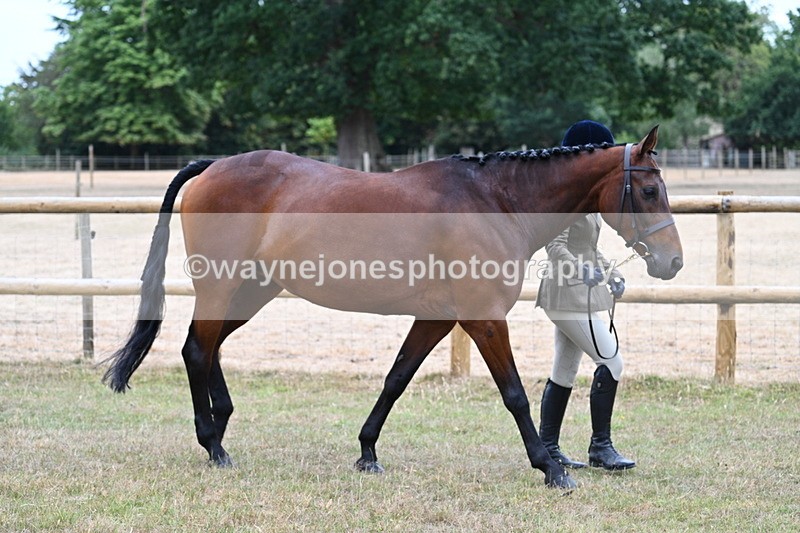 WJ7_8968 - Class 4a Prettiest Mare 14.2hh and over