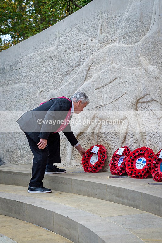 NGP_8242 - 2024 Animals in War Remembrance Gathering