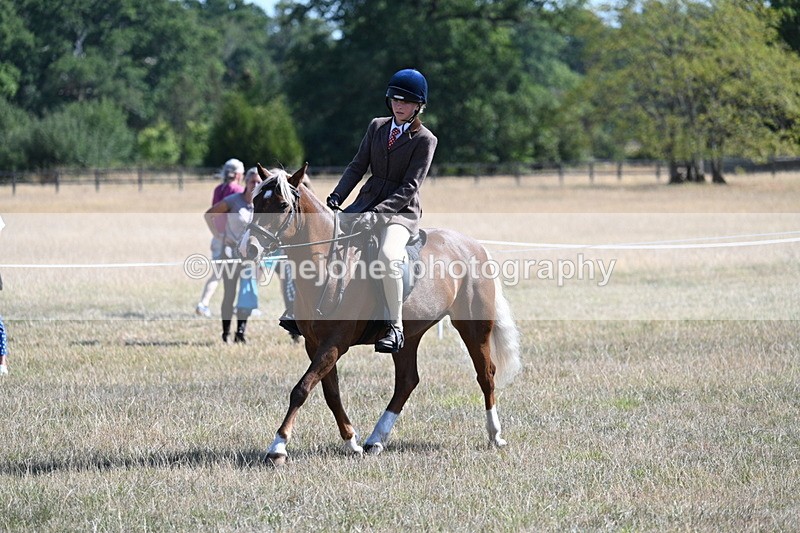 WJ7_4003 - Class 9 Mountain & Moorland Ridden