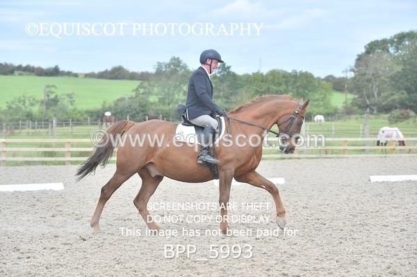 BPP_5993 - PRELIM TEST 5 LONG ARENA