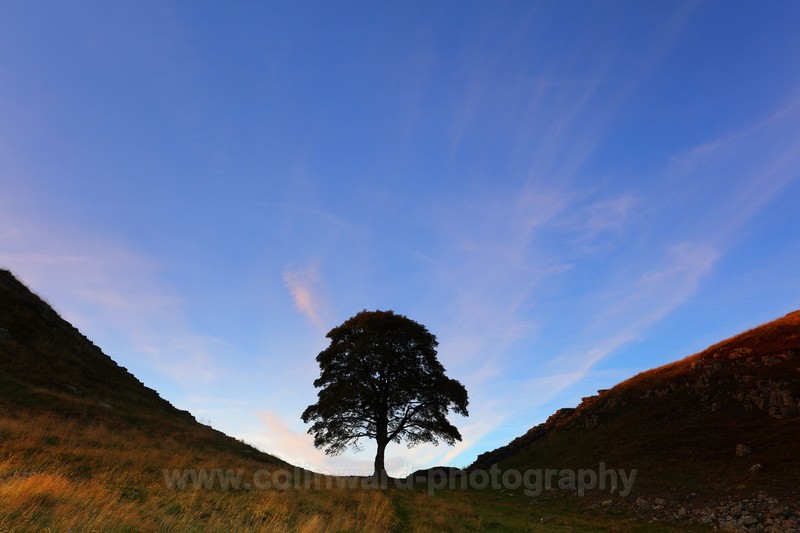 A Silhouette of Sycamore Gap, Hadrians Wall         ref5471 - Northumberland
