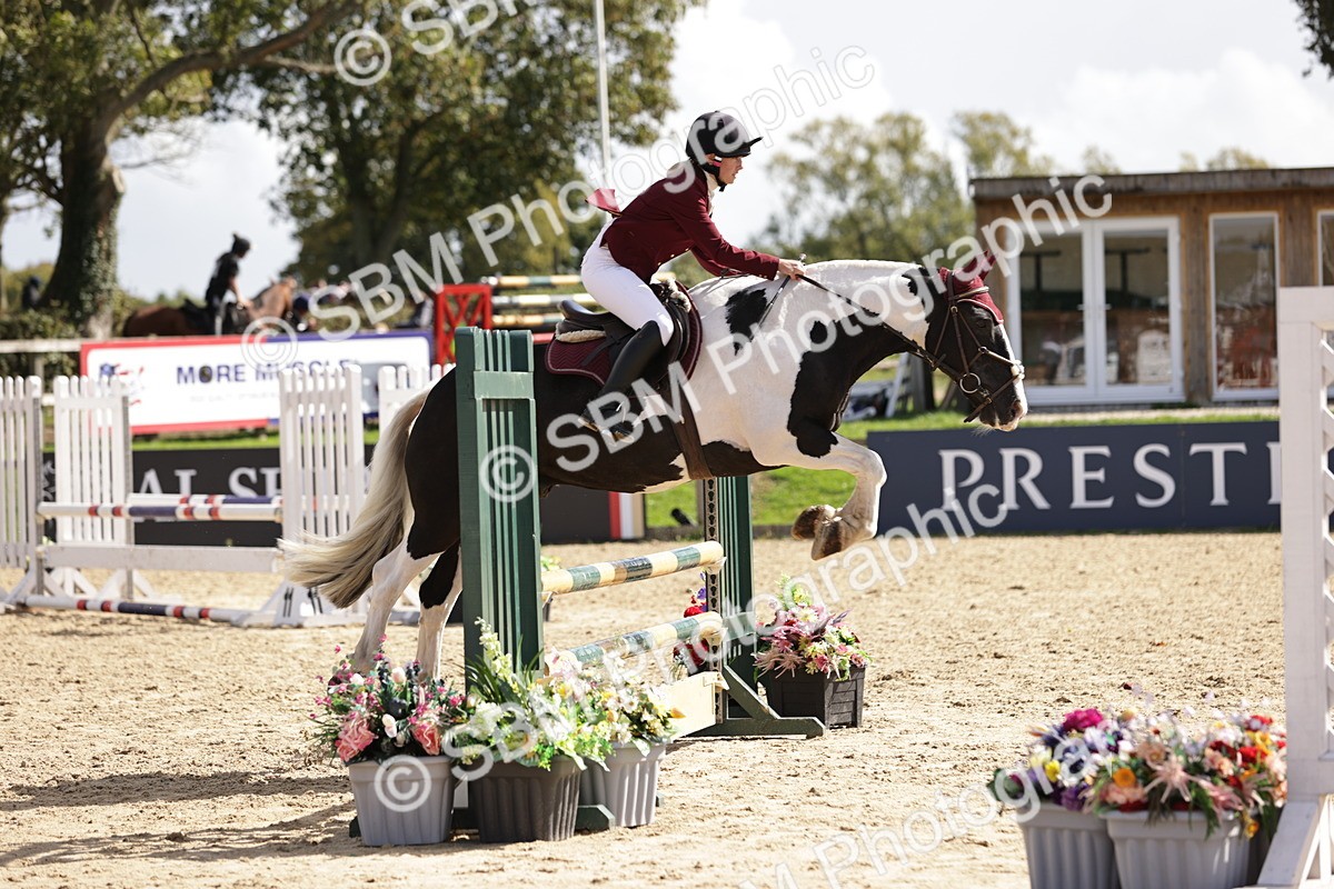 SBM_22402 - J59 - Clear Round 85cm