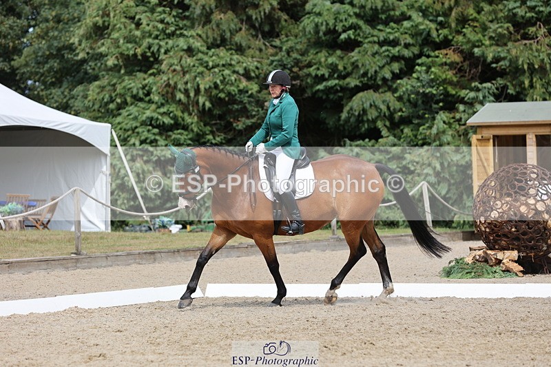 250718A-153043-02589 - 152-Tracy.OKennedy-Wylye.Harlequin