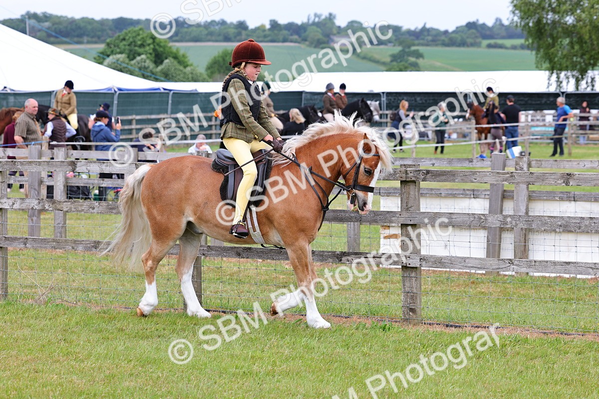 SBM_08537 - Class 42-43 - LIHS BSPS Heritage Working Sports Pony