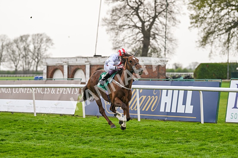 120425-Race 5-Majestic Warrior-1328 - Race 5