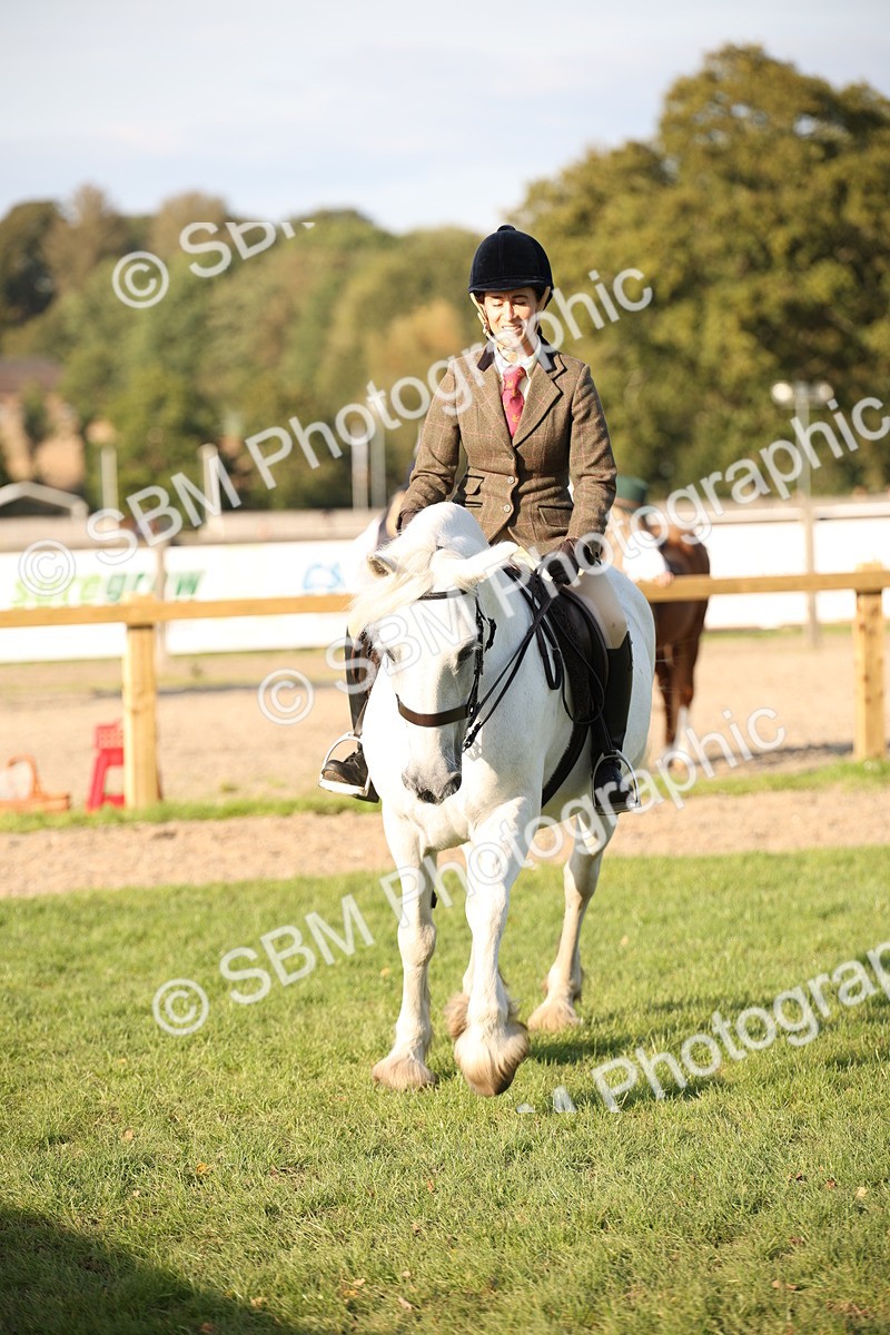 SBM_54330 - S27 - Mature Veteran - Ridden