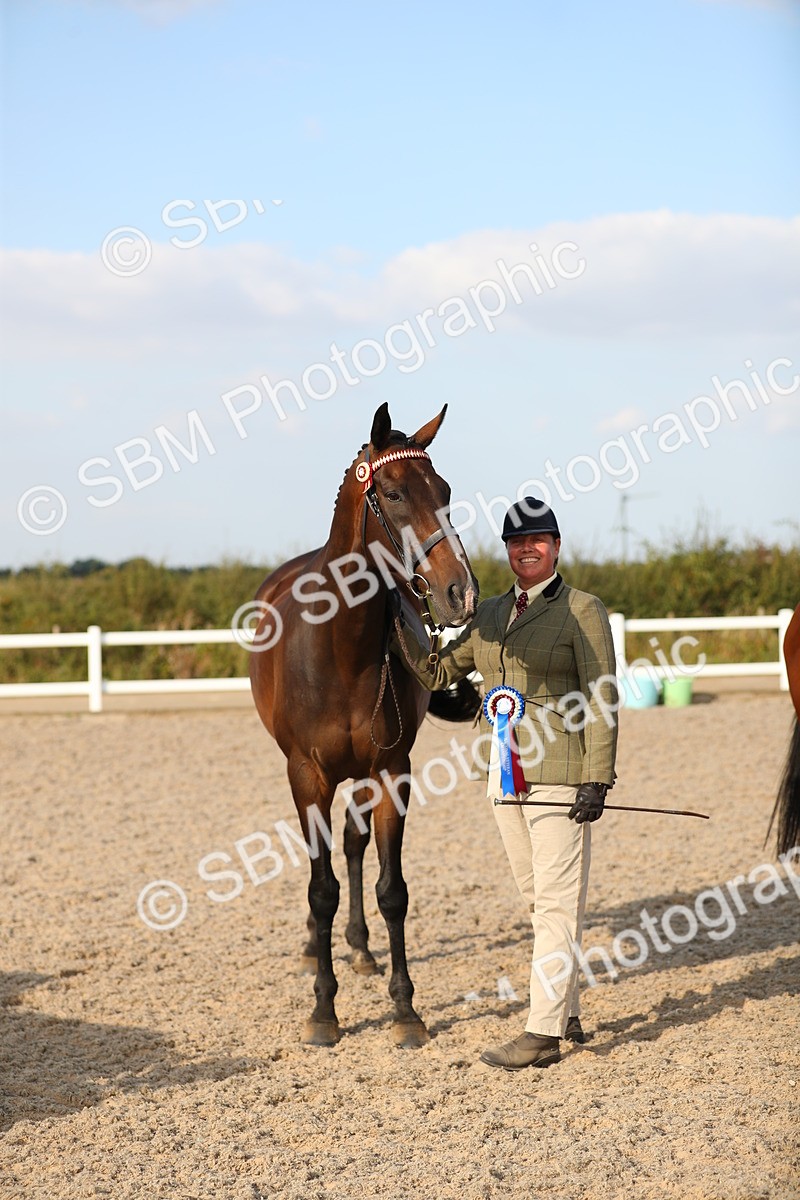 SBM_08678 - Class 28 - IH Veteran Horse