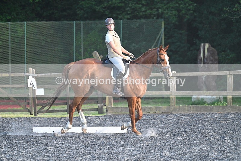 WJ7_0314 - Time 19:38 to 20:00