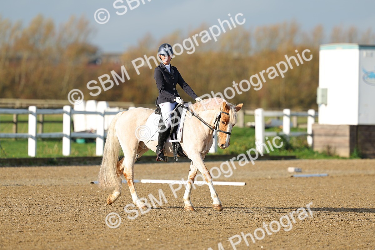 SBM_003010 - Class 2 - Intro 3