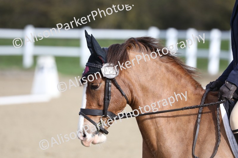 20260314-0267 - DR1 - Intro 1