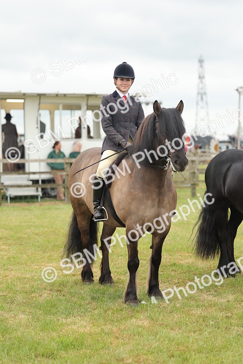 SBM_09014 - Class 78-80 - Ridden M&M Non Welsh Ponies